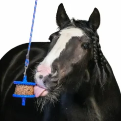 Likit - Friandise pour chevaux pierre granola allégée pomme New