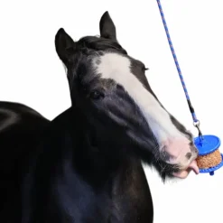 Likit - Friandise pour chevaux pierre granola allégée pomme New