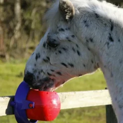 Likit - Support de pierre divertissant Tongue Twister New