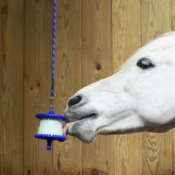 Outlet Likit - Support de pierres à sel divertissant