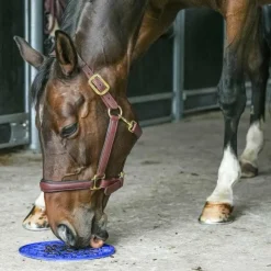 Likit - Tapis de léchage Graze maze bleu Clearance