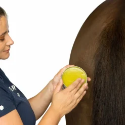 Michel Vaillant - Baume Bio plantain soulage les démangeaisons Horskin Online