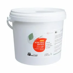 Michel Vaillant - Complément alimentaire friandises sabot et peau Biotine renforcée carotte Clearance