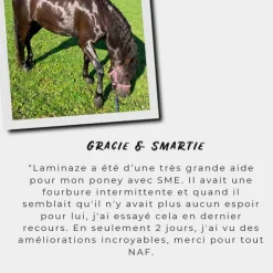 NAF - Complément alimentaire spécial fourbure Laminaze