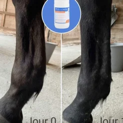 Natural' Innov - Argile verte pour tendons natural'recup Sale