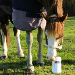 Natural' Innov - Argile verte pour tendons natural'recup Sale