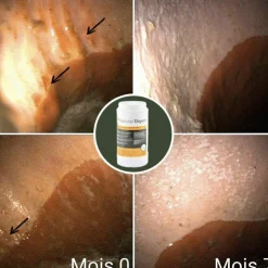 Clearance Natural' Innov - Complément digestif Natural'Digest