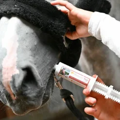 Hot Natural' Innov - Complément alimentaire seringue Natural'Top Flash Seringue