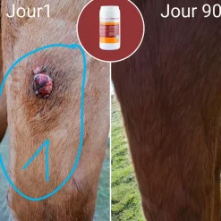 Natural' Innov - Complément alimentaire Natural'Immune