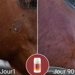 Natural' Innov - Complément alimentaire Natural'Immune