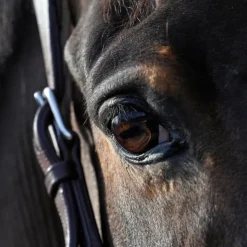 Clearance Natural' Innov - Lotion nettoyante pour les yeux Natural'Look