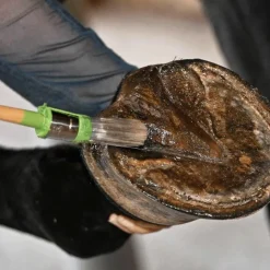 New Natural' Innov - Onguent pour sabot noir Natural Coat