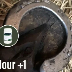 New Natural' Innov - Onguent pour sabot noir Natural Coat