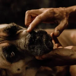 Sale Nellumbo - Baume naturel truffe pour chiens Jaune