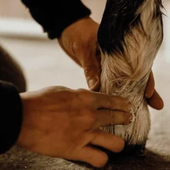 Outlet Nellumbo - Baume protecteur et hydratant Blanc