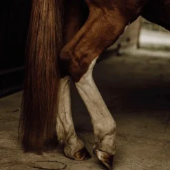 Nellumbo - Spray démêlant naturel crins Clearance