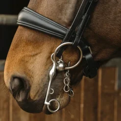 Outlet Norton - Bride Basal Noir