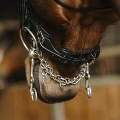 Outlet Norton - Bride Basal Noir