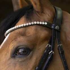 Best Norton - Bridon Bella Noir