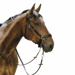 Norton - Bridon Bitless avec rênes Noir