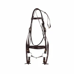 Norton - Bridon "CLUB" pour cheval de trait havane Best