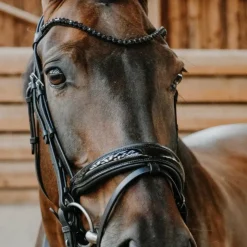 Norton - Bridon de dressage Royal Noir Clearance