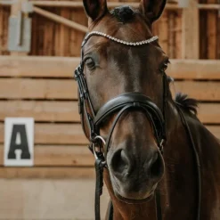 New Norton - Bridon de dressage Diams Noir