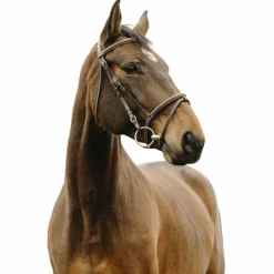 Discount Norton - Bridon Deco Havane