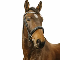 Online Norton - Bridon Diva Noir