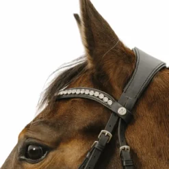 Online Norton - Bridon Diva Noir