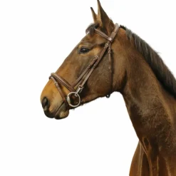 Norton - Bridon Easy Havane Hot