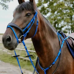 Norton - Bridon endurance Pop électrique Bleu Hot