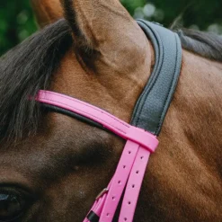 Norton - Bridon endurance Pop Rose