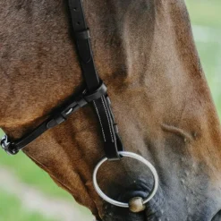 Norton - Bridon Freedom Noir Discount