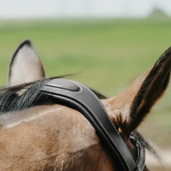 Norton - Bridon Freedom Noir Discount