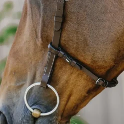 Norton - Bridon Freedom Noir Discount