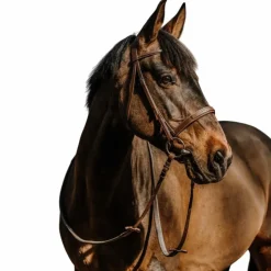 Norton - Bridon Hunter Comfy havane Marron Hot