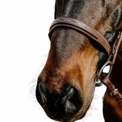 Norton - Bridon Hunter Comfy havane Marron Hot