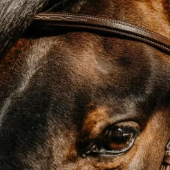 Norton - Bridon Hunter en cuir havane Marron Clearance