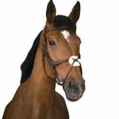 Best Norton - Bridon muserolle croisée Havane