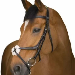 Hot Norton - Bridon muserolle croisée Noir