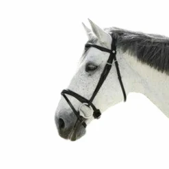 Norton - Bridon Pro Combinée Noir