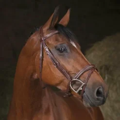 Discount Norton - Bridon Pro Combinée Havane