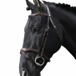 Norton - Bridon Pro Découpé Havane Outlet