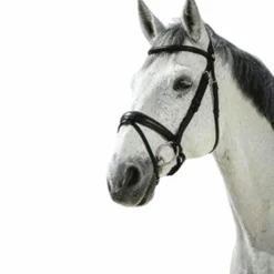 Norton - Bridon Pro Soft Noir Hot