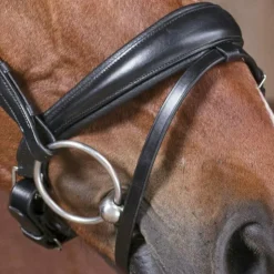 Norton - Bridon Pro Strass Noir Clearance