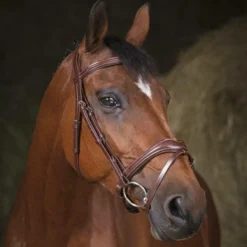 Norton - Bridon Pro Vague Havane Clearance