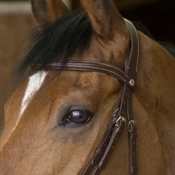 Norton - Bridon rock Havane Sale