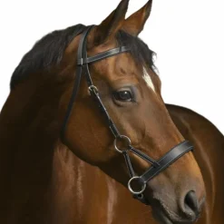 Norton - Bridon Side pull "PRO" confort noir Hot