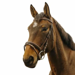 Online Norton - Bridon Strass V Havane